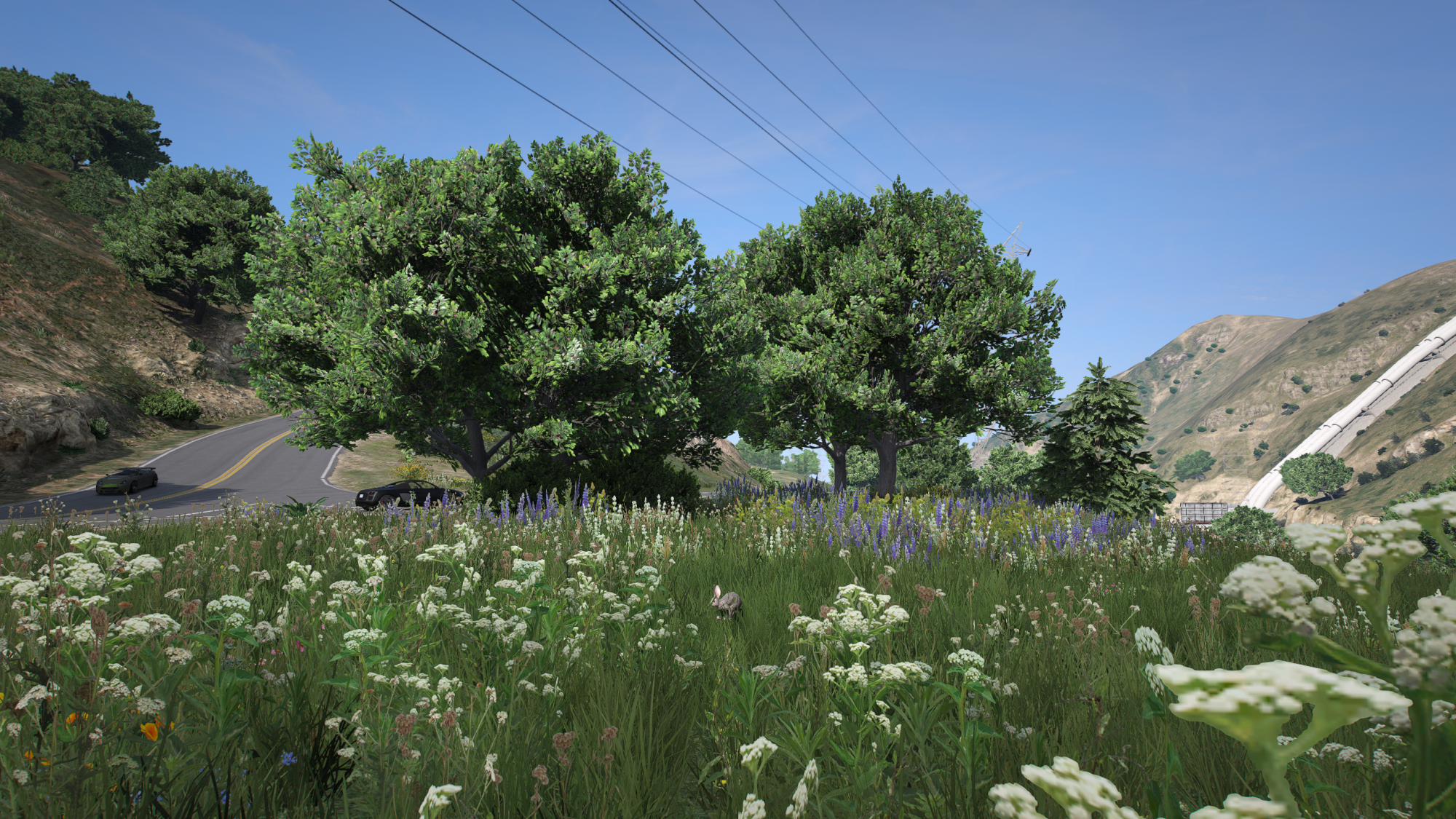 PX vegetation- mod for FiveM Client