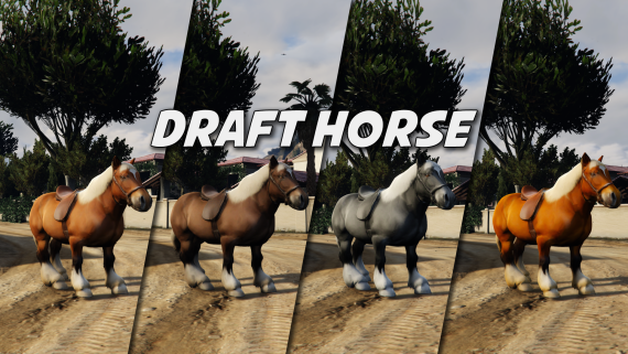 Draft Horse