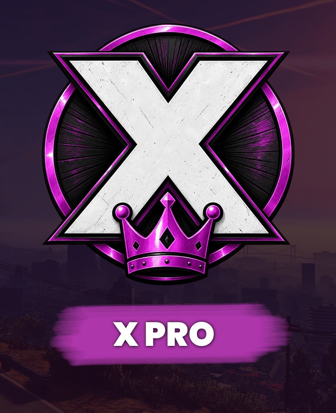 X Pro