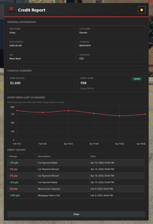 Credit Report System