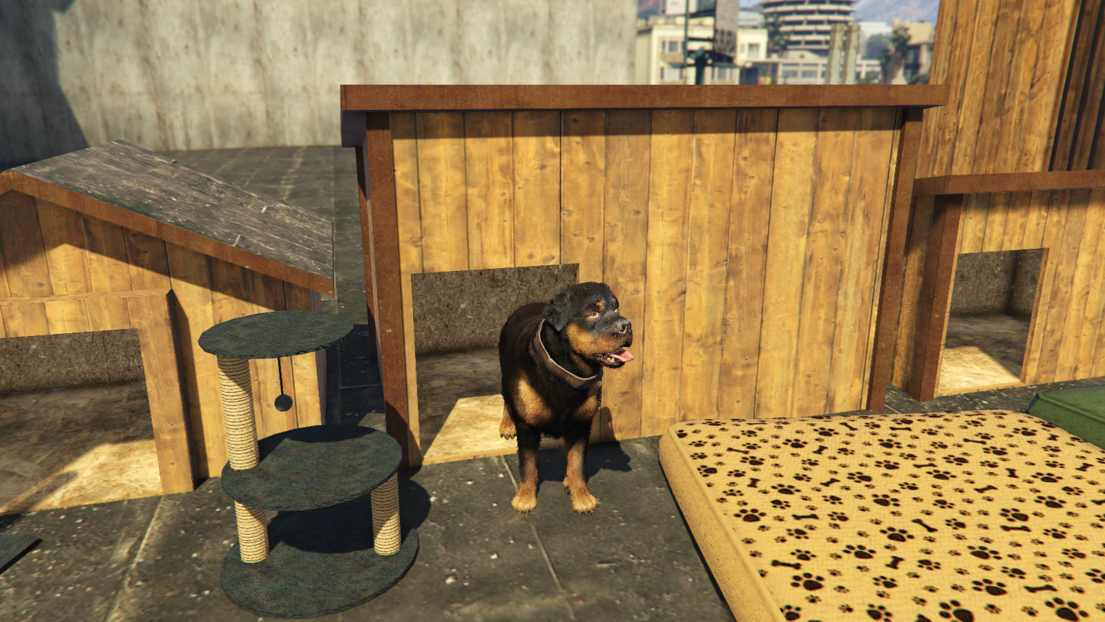 For pets