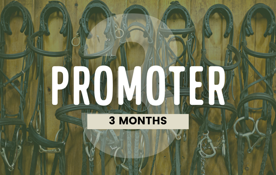 3-Month Promoter Bundle