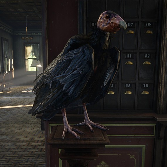 Condor de Californie