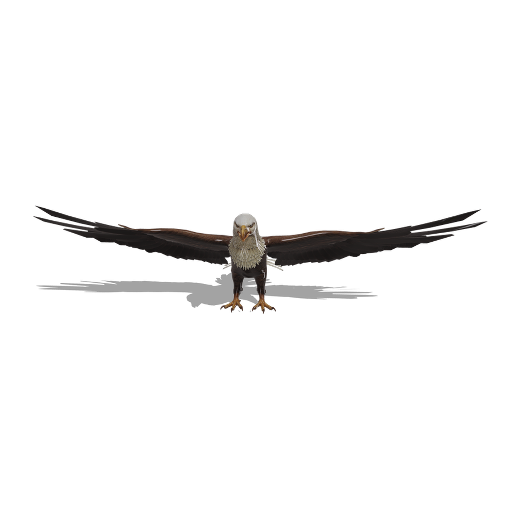 Eagle