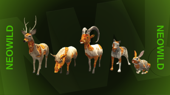Infected Pack