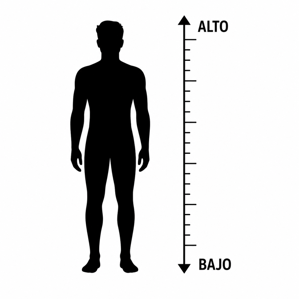 Altura del personaje