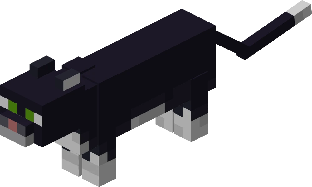 Cat+