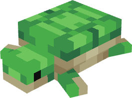 Turtle Rank