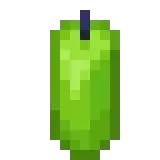 Turtle Key