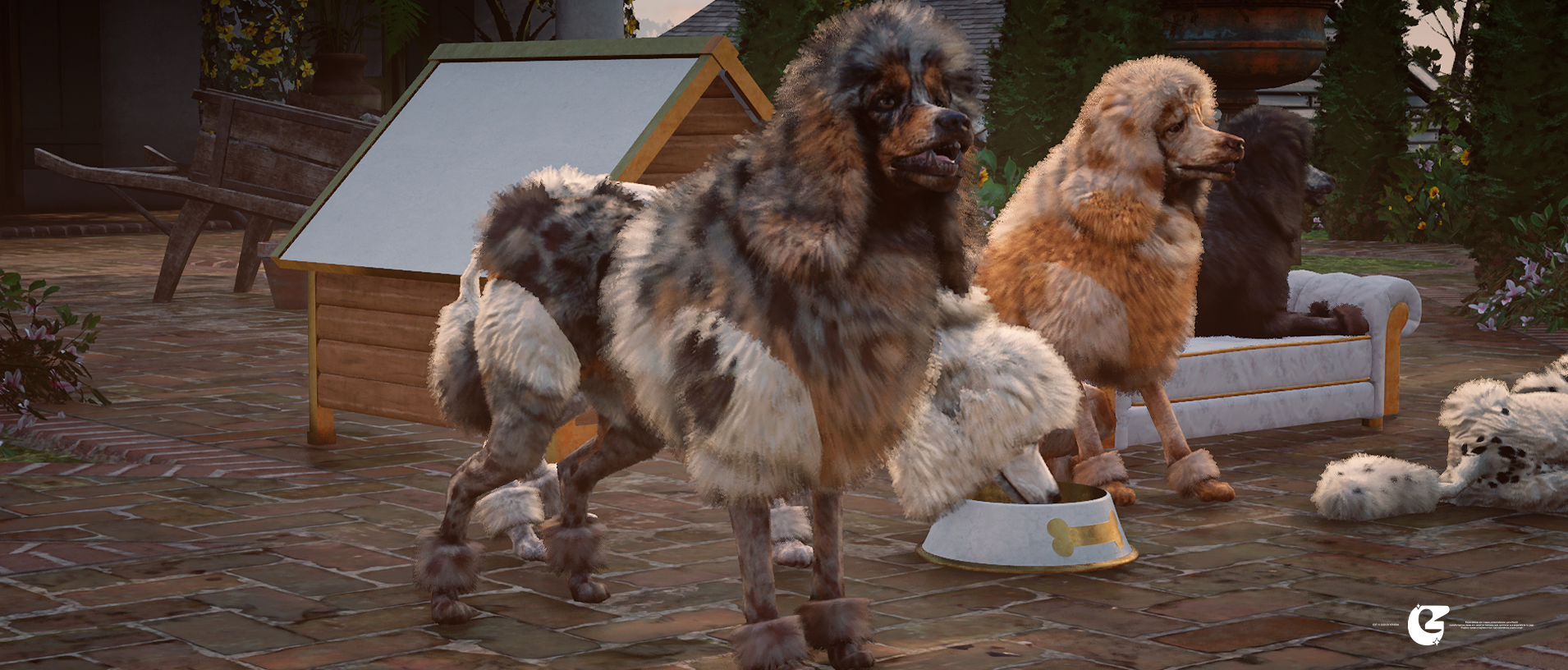 [ Poodle Pack ]