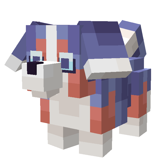 CACHORRO DE PASTOR AUSTRALIANO