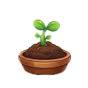🌱 Seedling