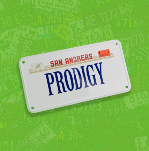 License Plate-Public