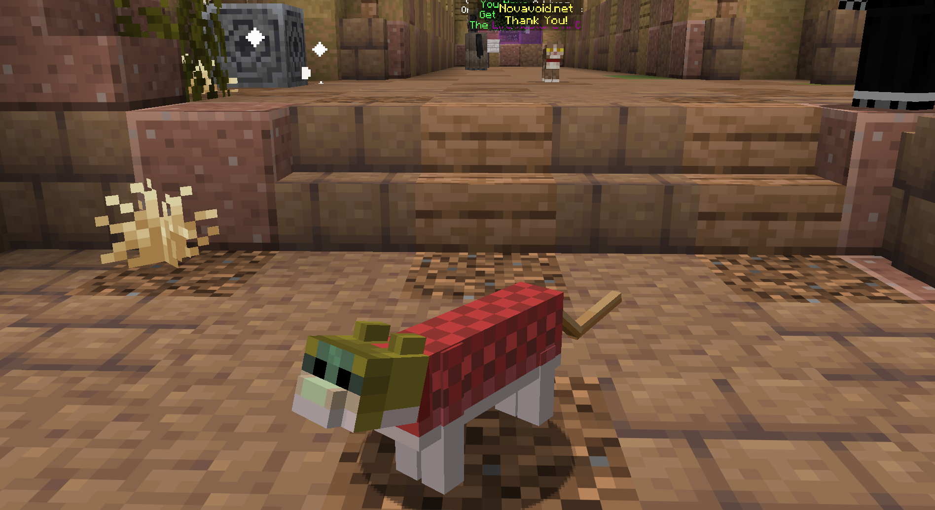 Salmon Cat — cosmetic Cat Skins item on the NovaVoid Cat Civilization Minecraft server