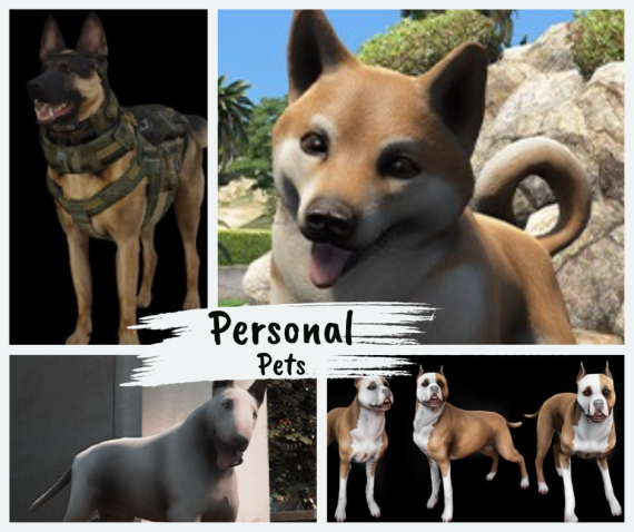 Domestic Pets +