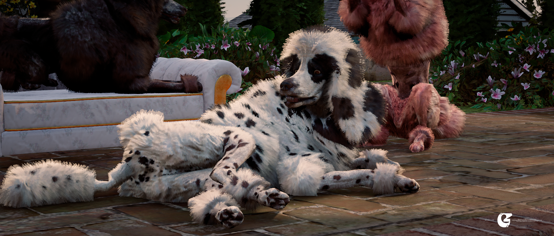 [ Poodle Pack ]
