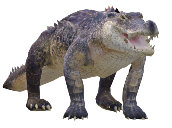 Crocodile