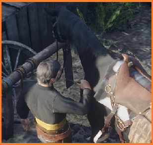 🐎Horse Food/Syringe