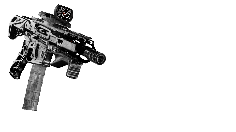 ZSR-17 | AR