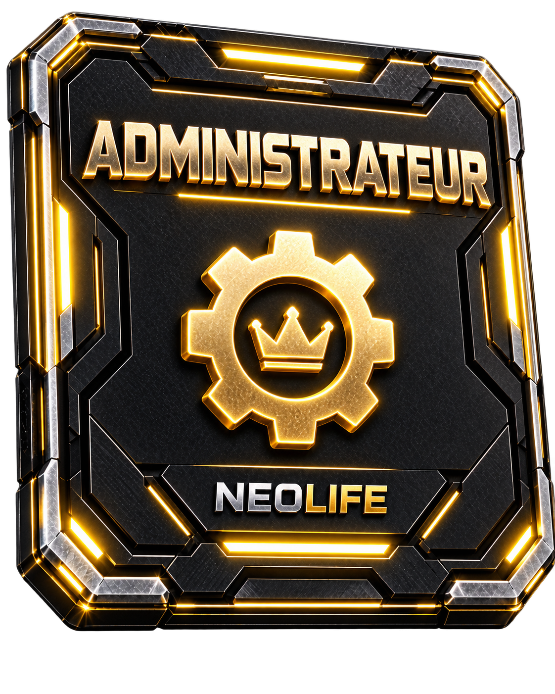 ADMINISTRATEUR — MAINE TEAM