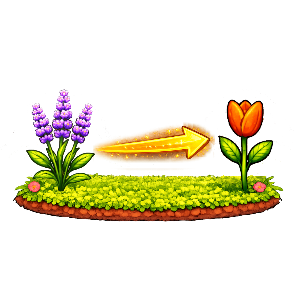 Lavender -> Tulip