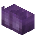 Botas AvantCraft