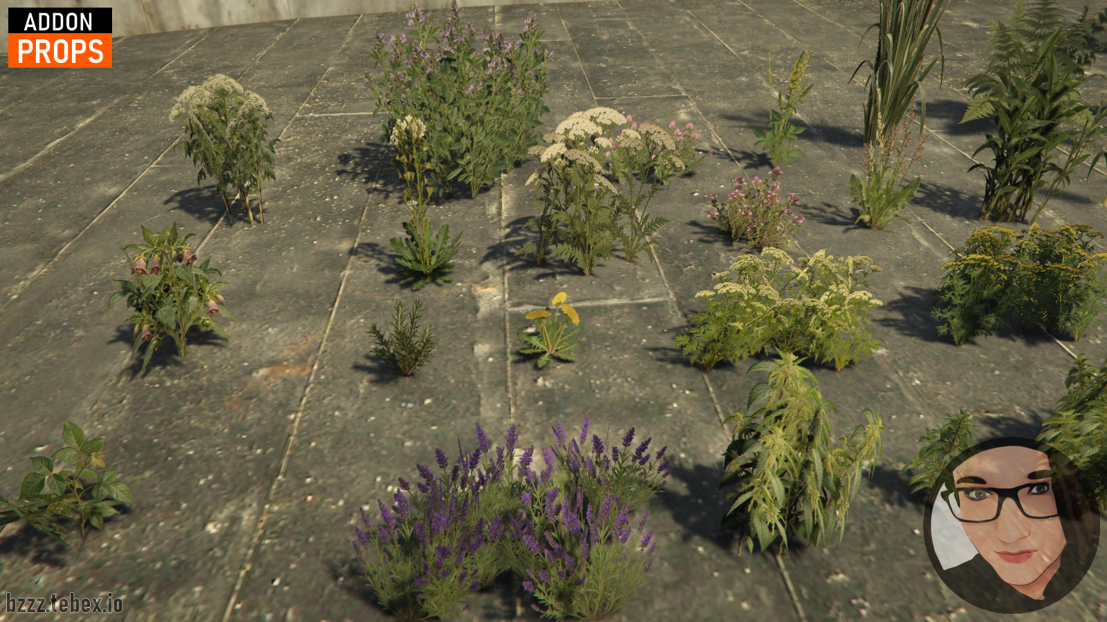 Herbs