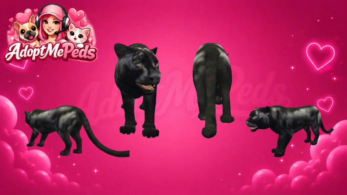 Black Jaguar & Black Jaguar Cup