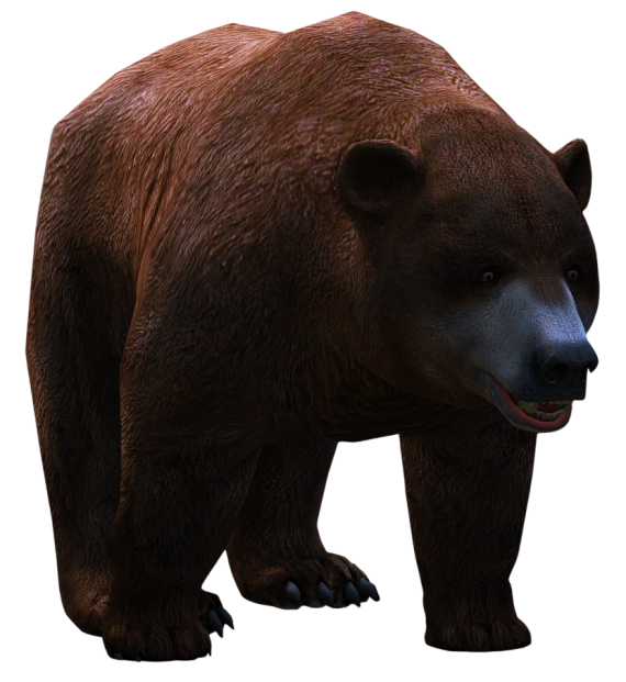 Urso