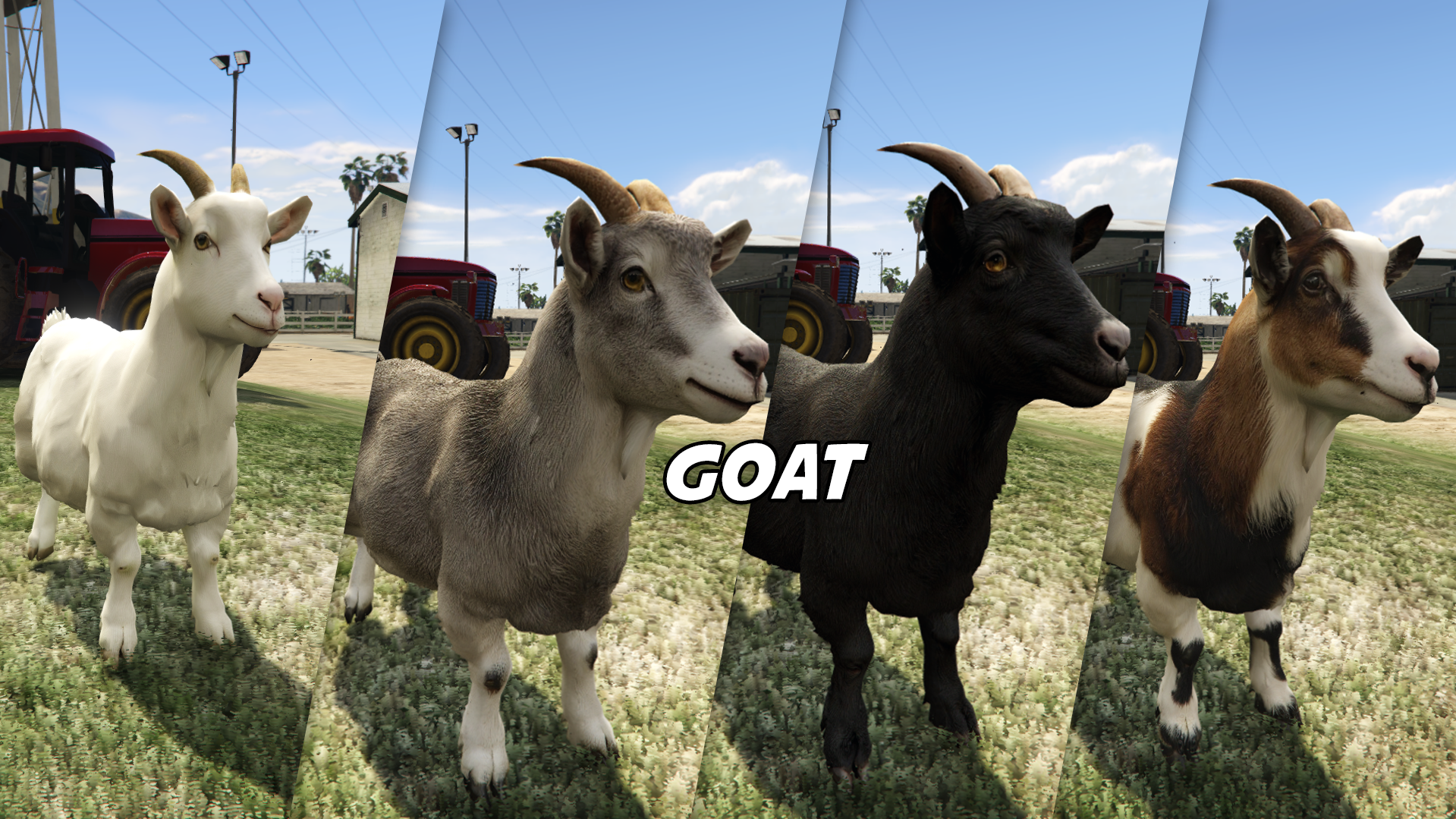Goat