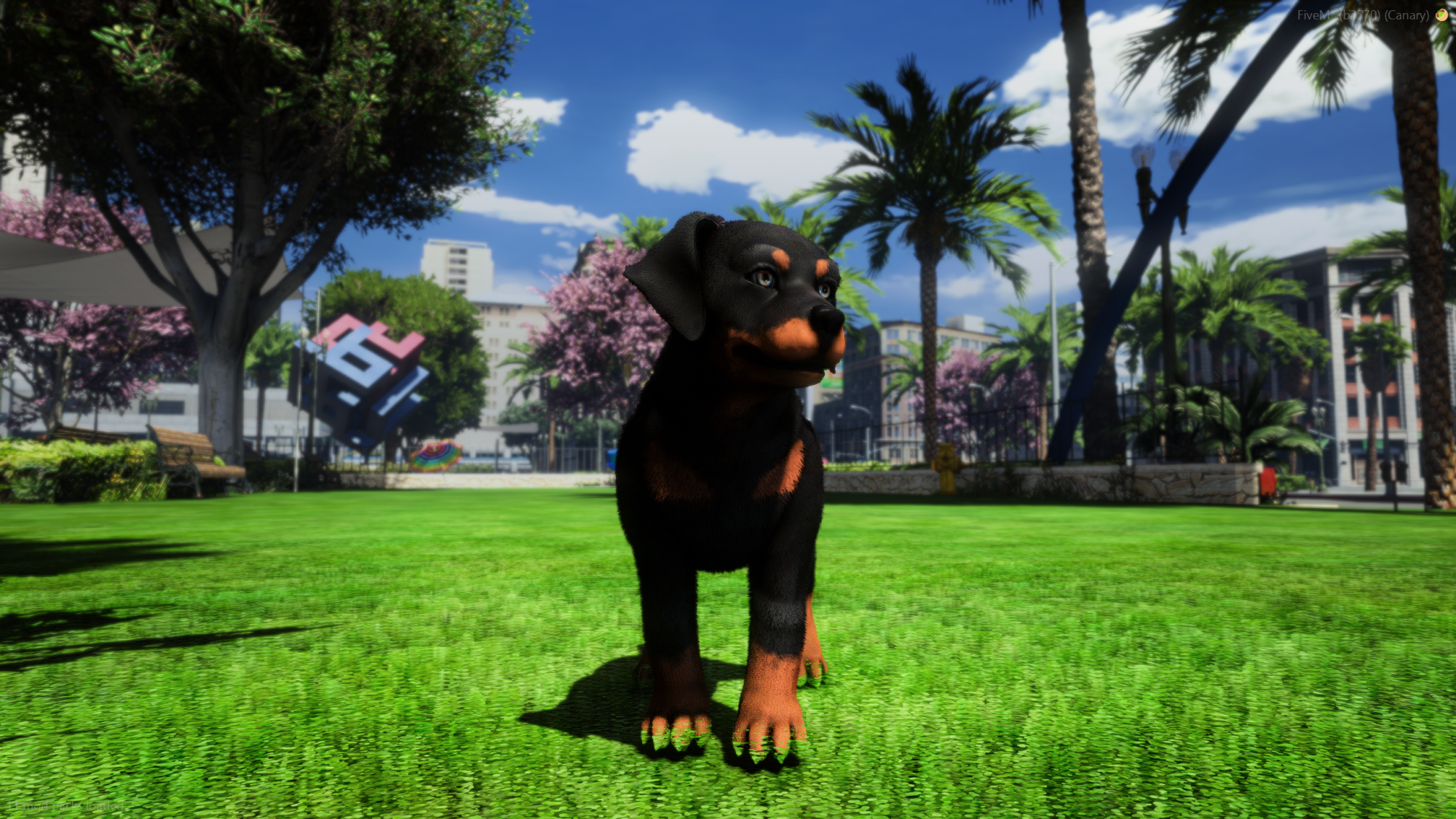 Doberman Police K9 Puppy