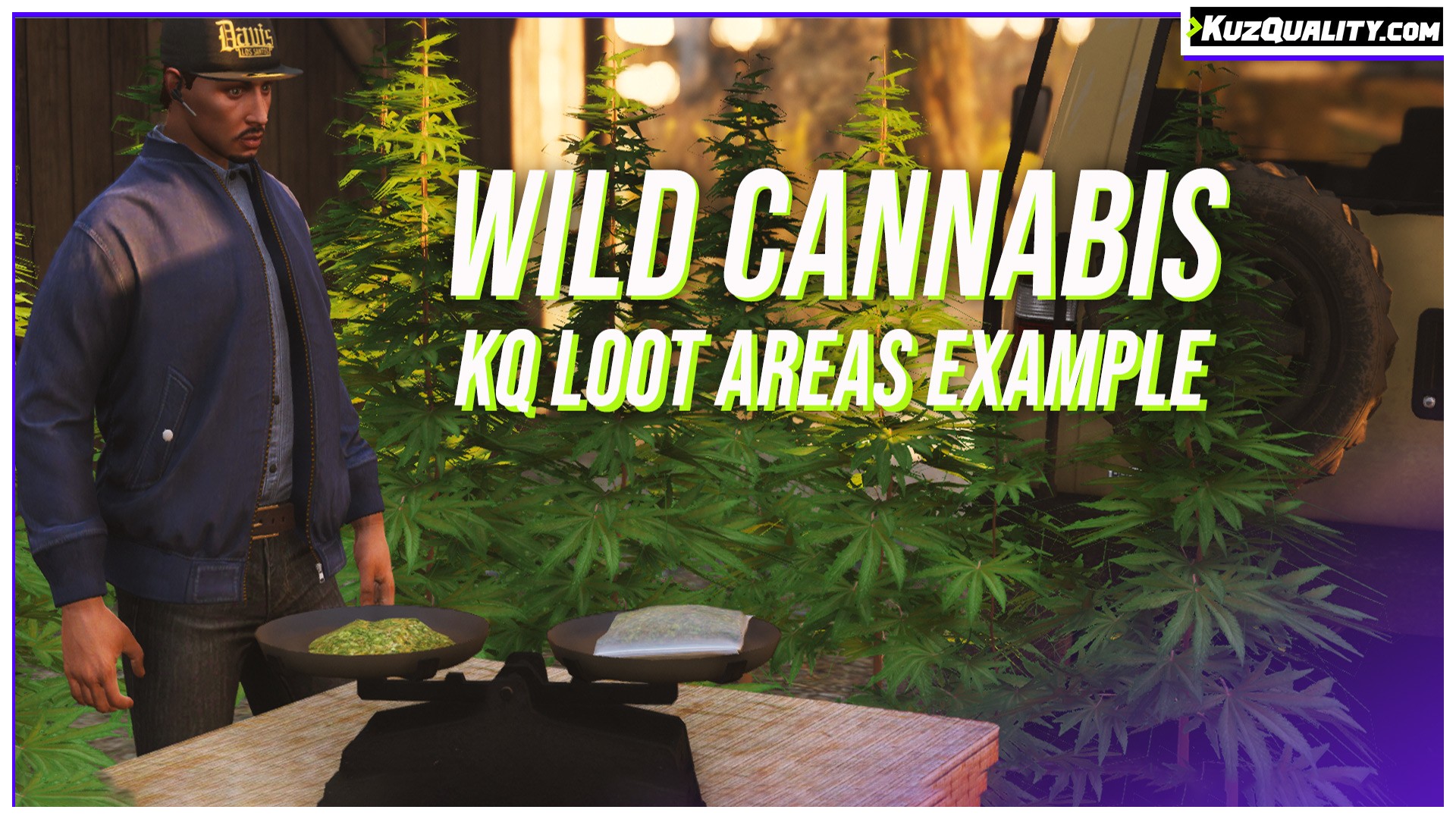 FiveM Script Wild Cannabis (Loot Areas Example) 