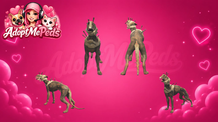 Zombie Dog