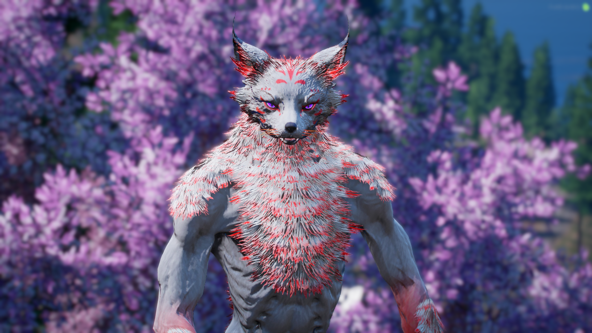 Kitsune