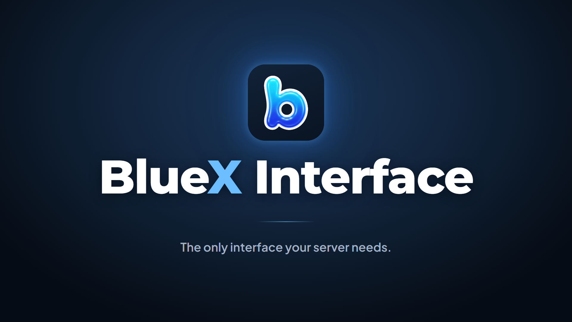 BlueX Interface
