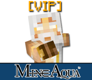 VIP - 1 mes (FullPvP)