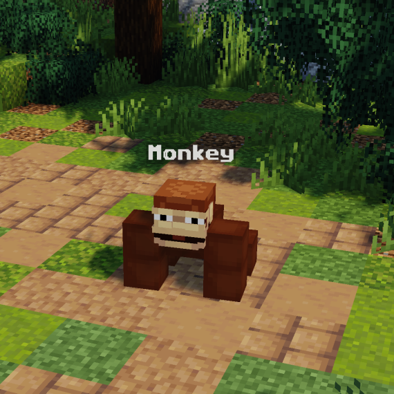 Monkey Pet