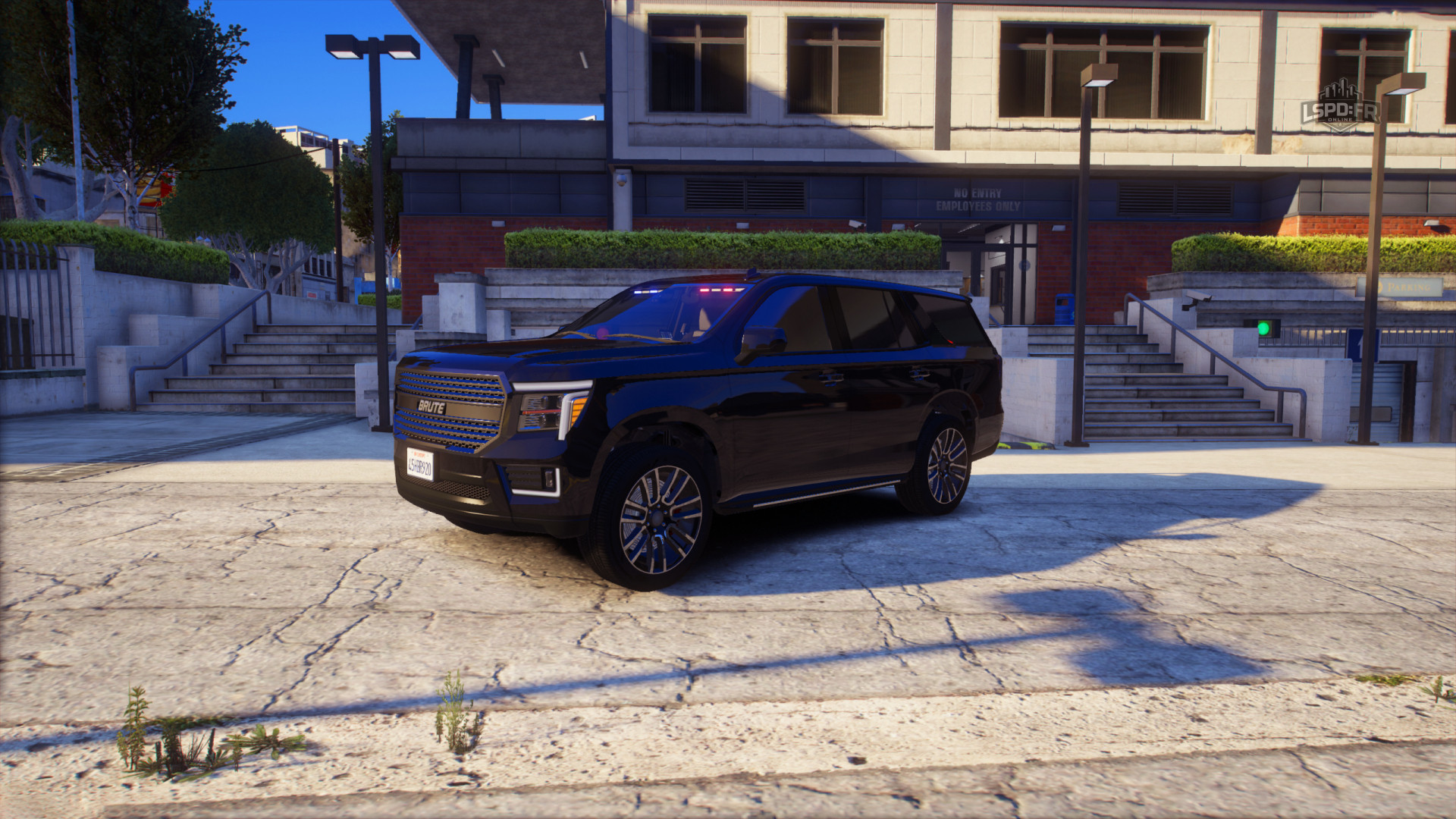 Unmarked Pack
