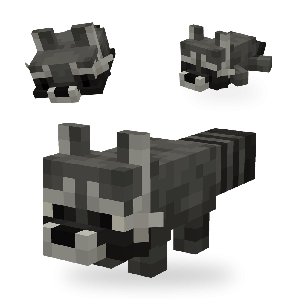 Raccoon Set