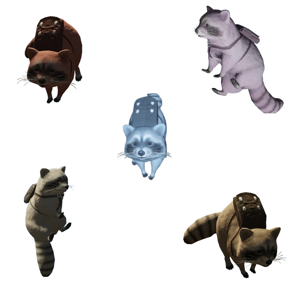 Flying Racoons - 5 Color Variations