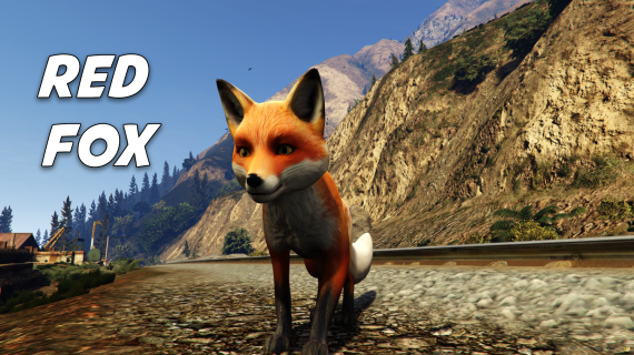 Red Fox