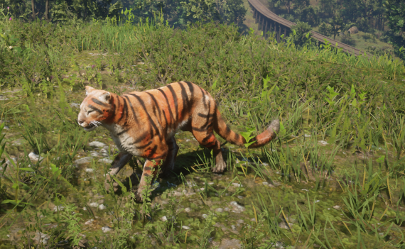 Tigerlook Wildkatze Cougar