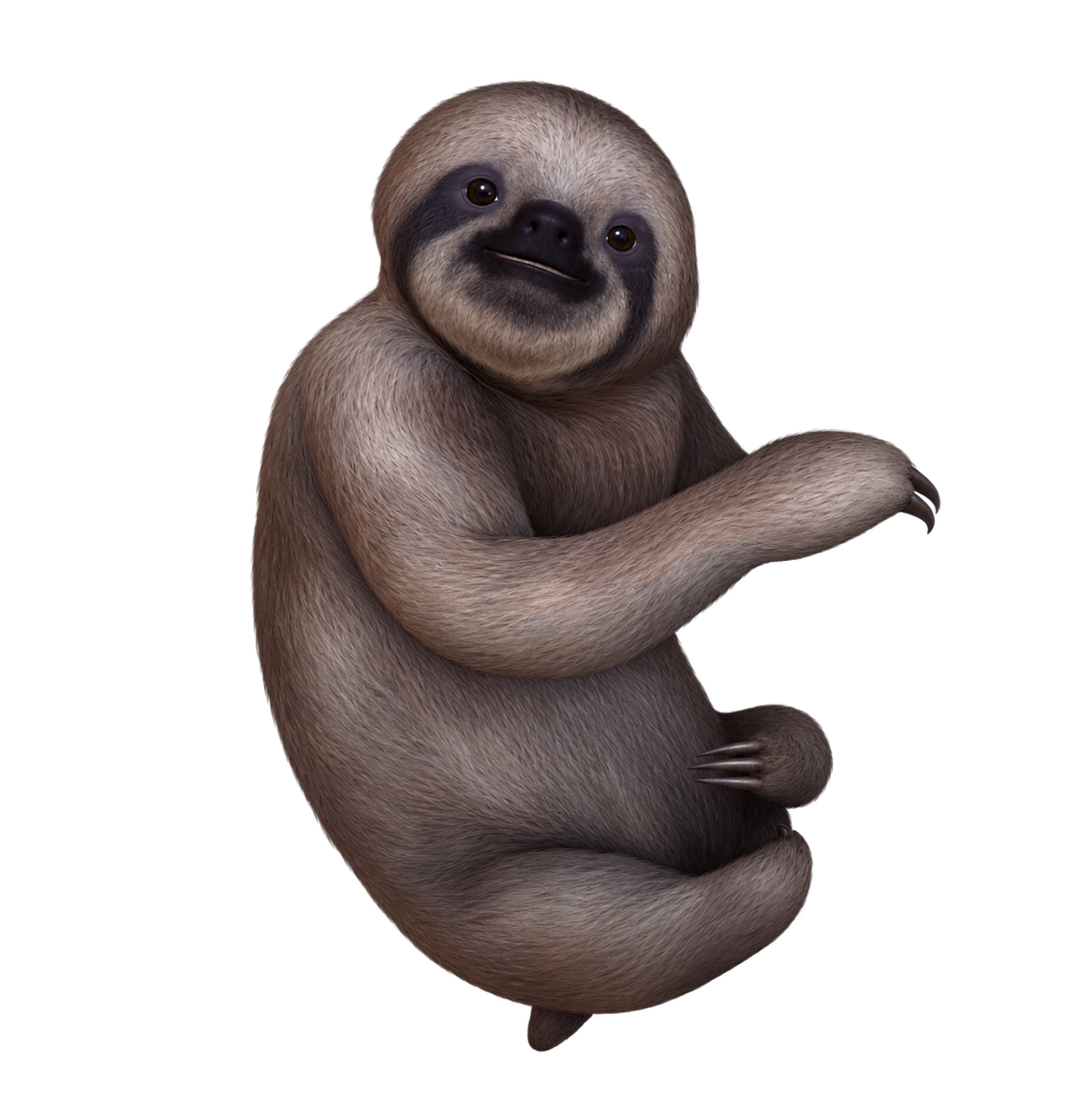 Perezoso