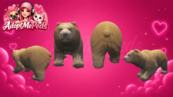 Bear