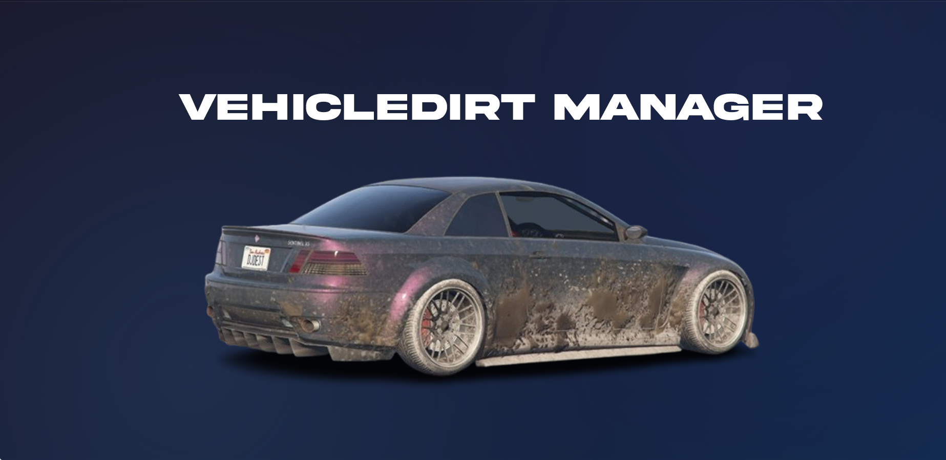 Vehicledirt manager
