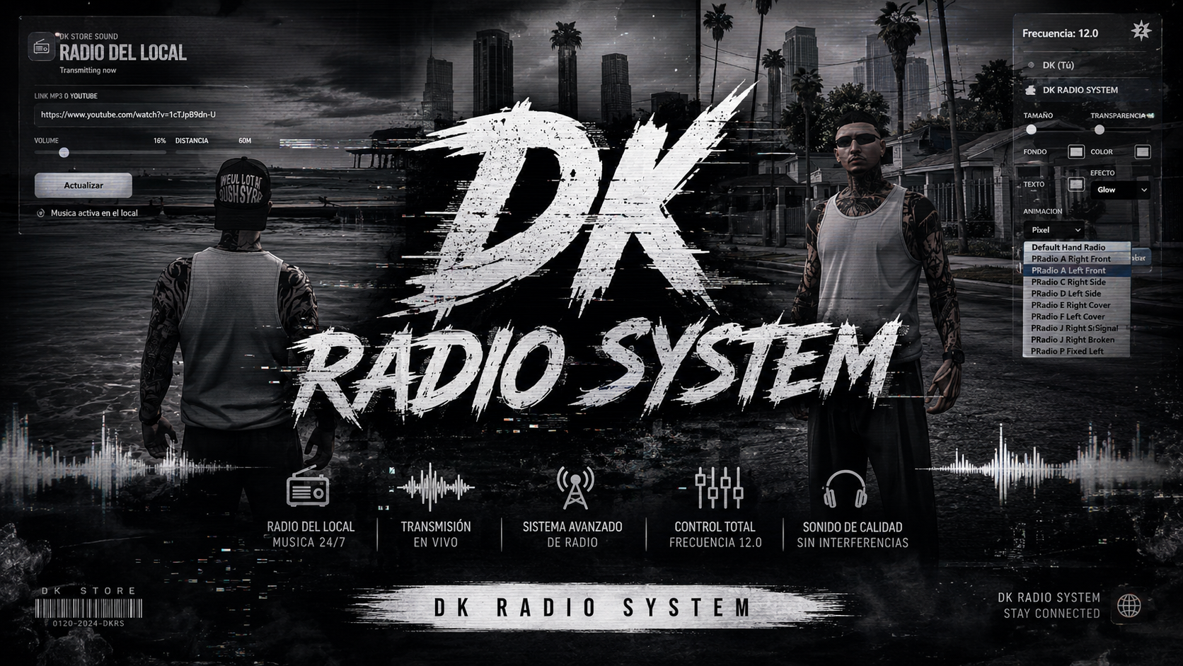 DK RADIO SYSTEM