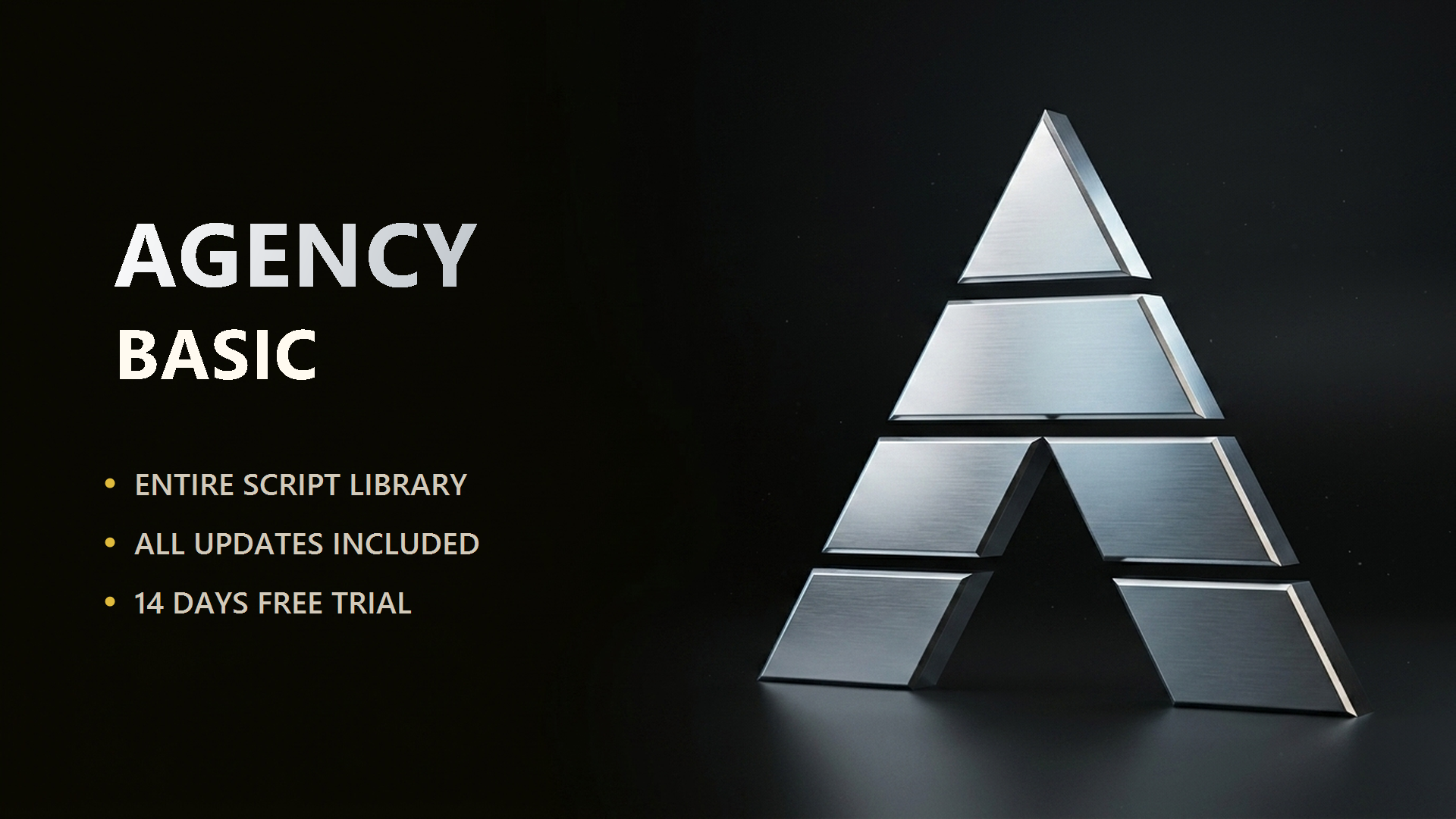 ⭐ 1 Month Agency Basic
