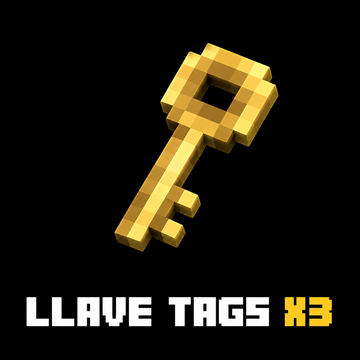 LLAVE TAGS X3