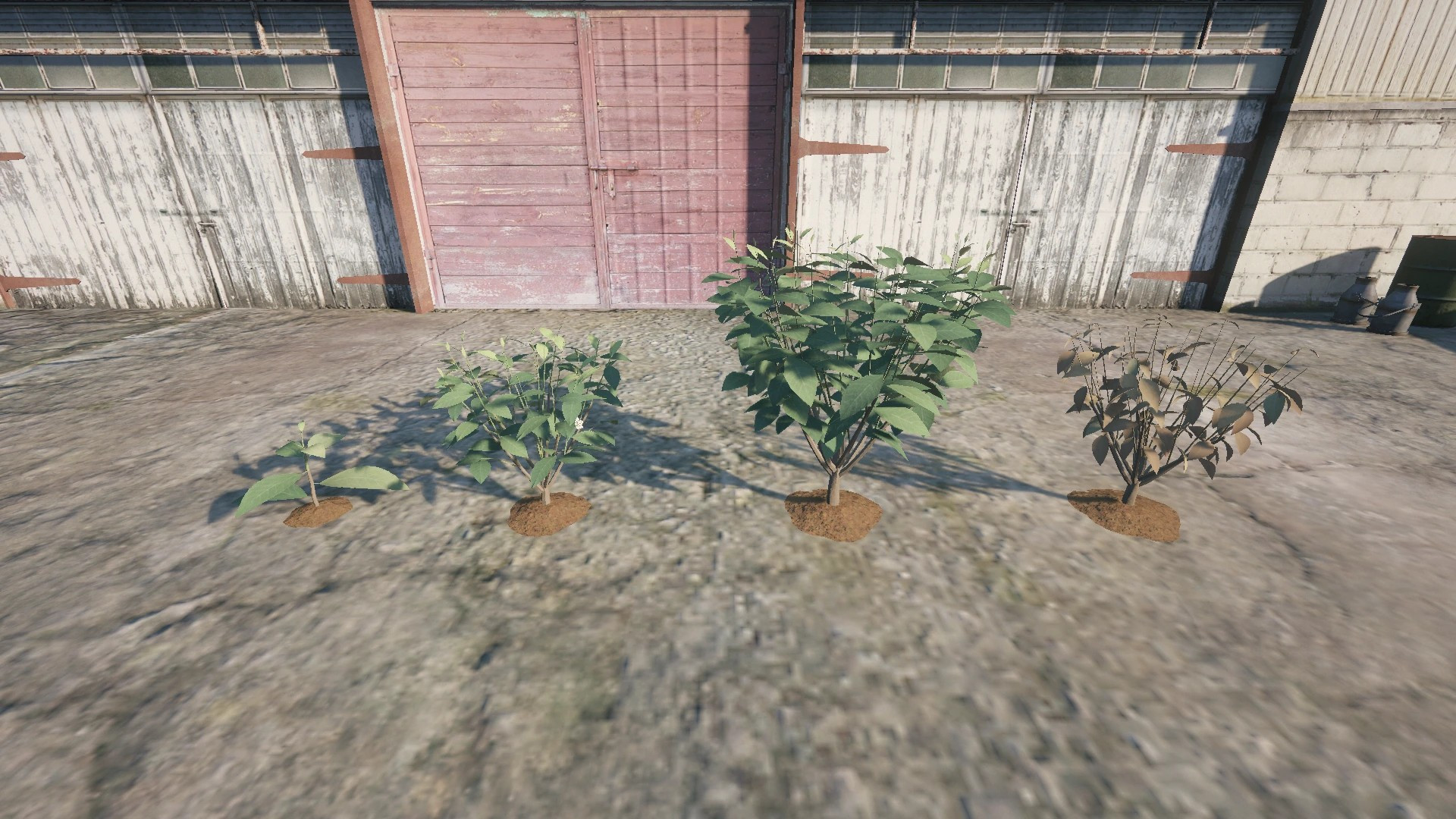 Farm Props: Greenhouse & Flowers - 7