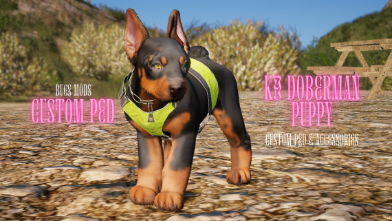 Doberman Ped Bundle - Adult & Puppy Versions!